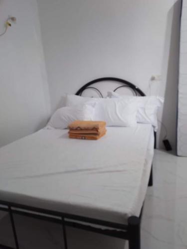 NELU GUEST HOUSE