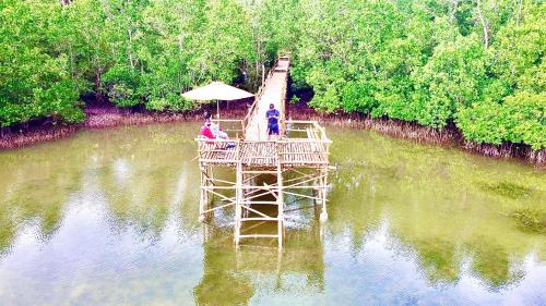 4 Bedrooms Guesthouse with Pool and Mangrove Park