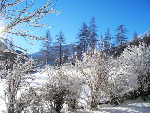 Zur alten Mühle Pension