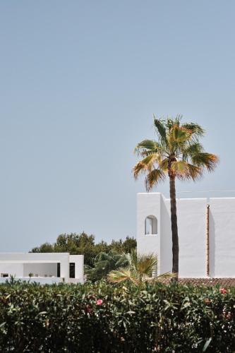 Prinsotel Alba