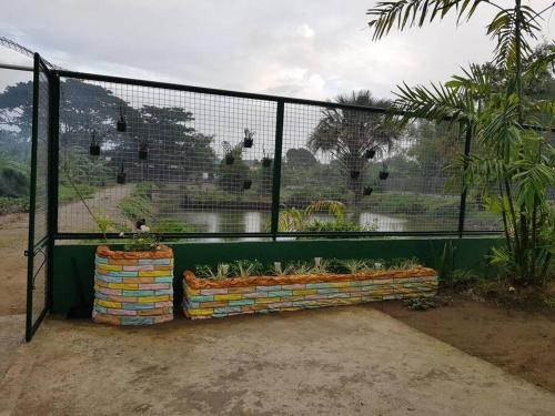 Golden V Farms Hacienda