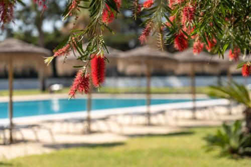 Vila Park, Nature & Business Hotel