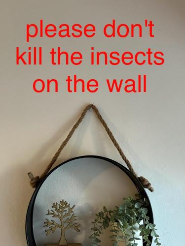 Makenzie 2 rooms first line beach