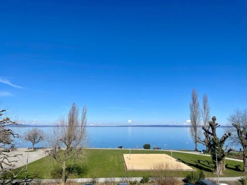 Amazing lakeview flat Horn