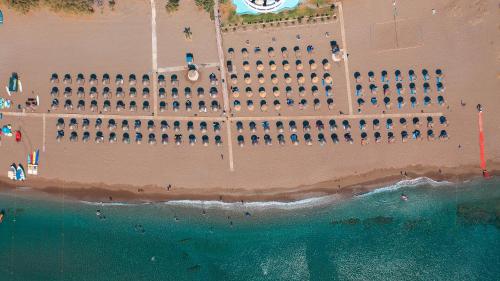Calypso Beach Hotel