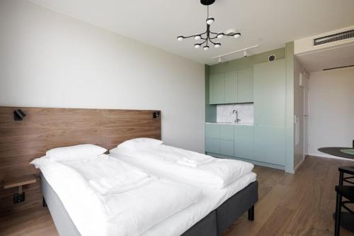 Brand new Studios Amidst Ancient Ruins Oasis