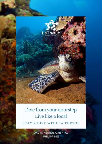 La Tortue Diving Resort Dauin