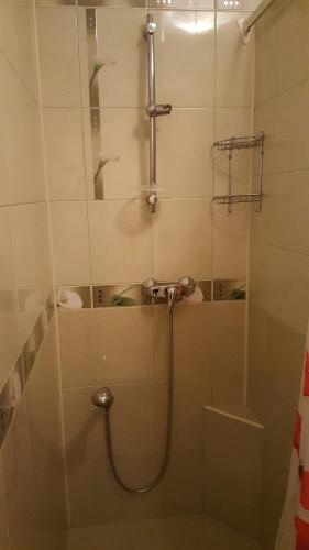 Naiza Guesthouse and Apartments