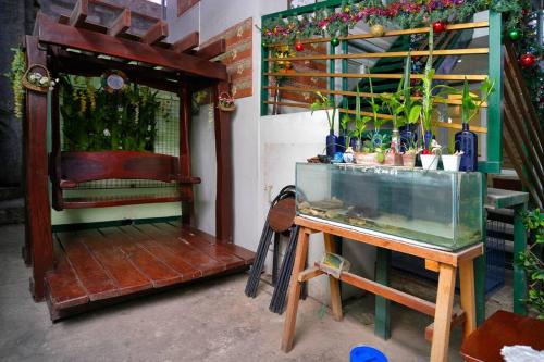 Golden V Primera Unit B