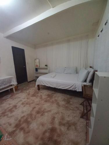 Casa de Viajeros 300mbps spacious 2BR 5 minutes to the beach