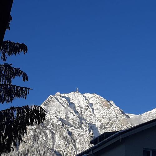 Vila Foc Alb Apartamente-Busteni