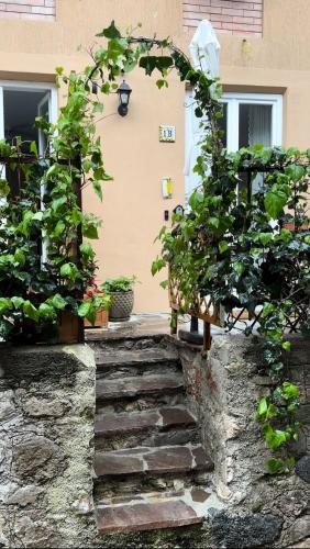 Casa Limone
