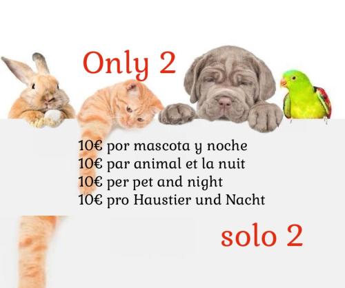 Apart Hotel Giuliano