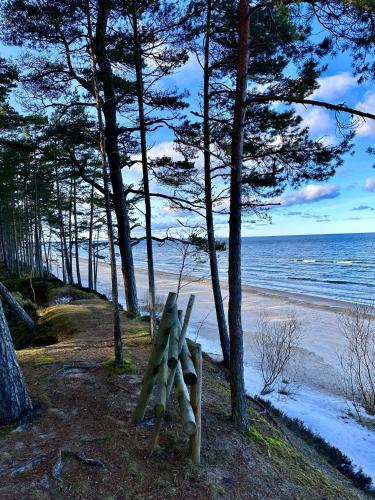 Silazari Klapkalnciems