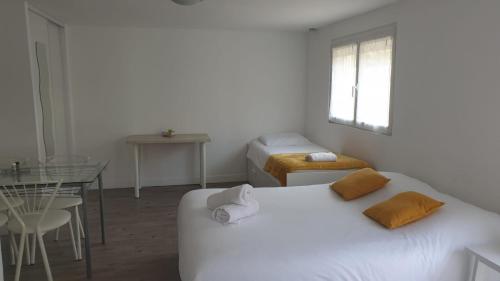 Tours, Touraine et Chateaux de la Loire