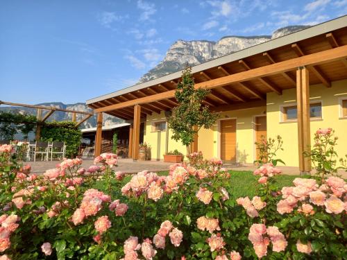 Agriturismo L'isola Di Arturo