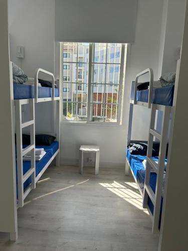 Hostel SCQ