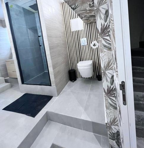 Appartement hyper centre - Coty