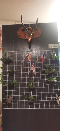 Cool Breeze Lodge and Cafe