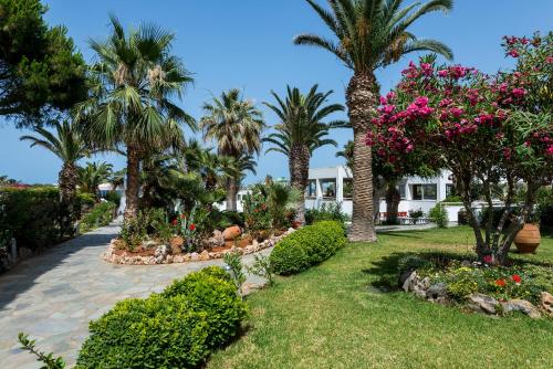 Lyttos Beach