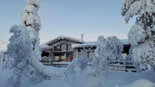Villas Karhunpesae