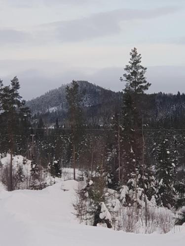 Tyforsgården