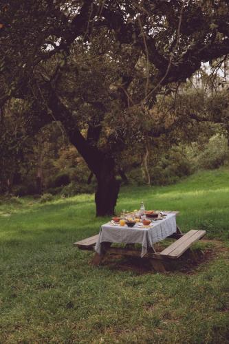 Muxima Montes Ferreiros