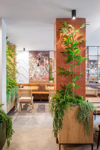 Hotel Branco