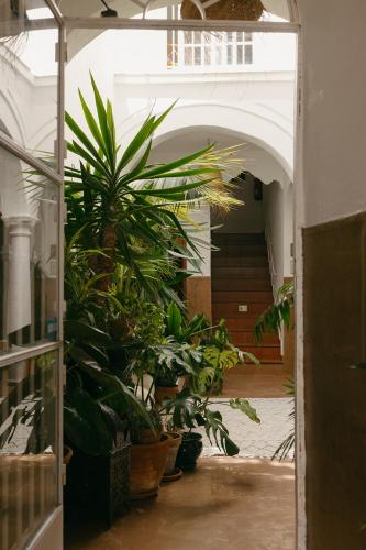 Hostal África