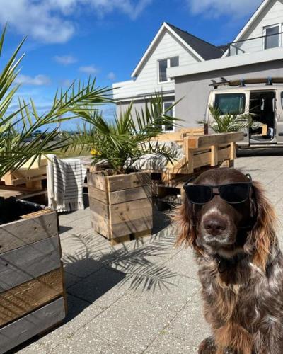 B&B By The Sea Hirtshals
