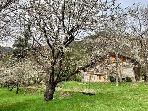 Chalet Le Tilleul