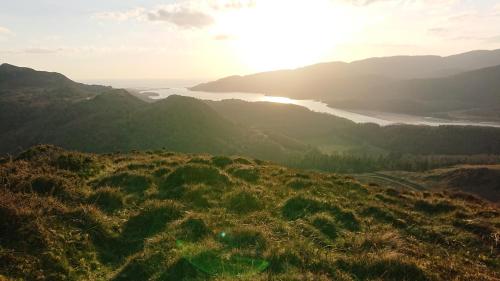 Abergwynant Farm Glamping & Apartments