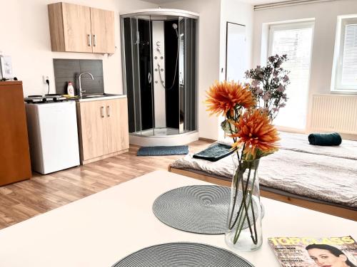 Ubytování na venkově Církvice