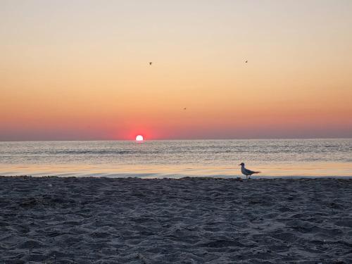 RoApart- Studio de lux cu vedere lac si mare la 2 min de plaja