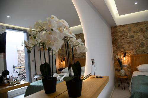 Authentic Plaka Home