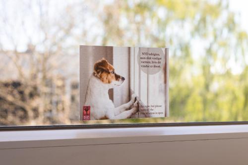 Milling Hotel Mini 11