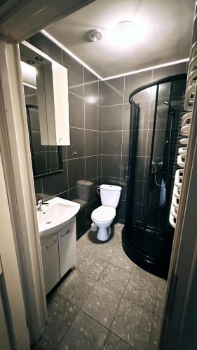 Palac Dabrowa Gornicza