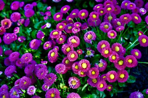 Studio Apartman UNA -self check in, free parking