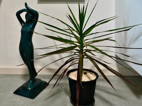 Studio Apartman UNA -self check in,free parking