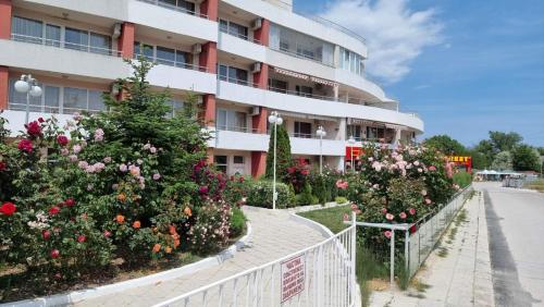 Luxurious Studios Nani