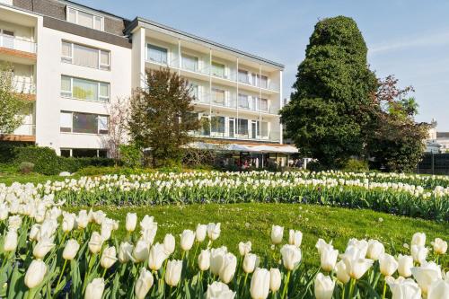 At the Park Hotel