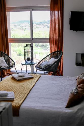 Studio avec parking vue sur la Cité de Carcassonne