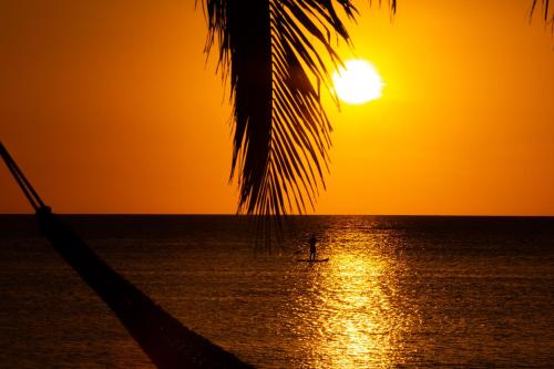 The Beach House Ocam Ocam