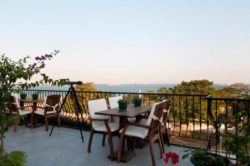 Istanbul Queen Seagull