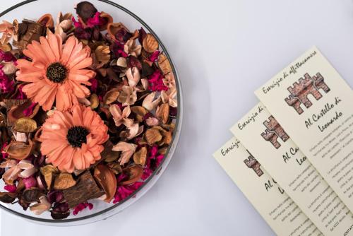 Al Castello di Leonardo