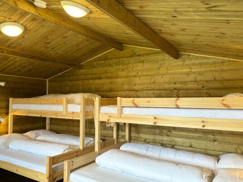 Winjum Cabin Aurland Stegastein