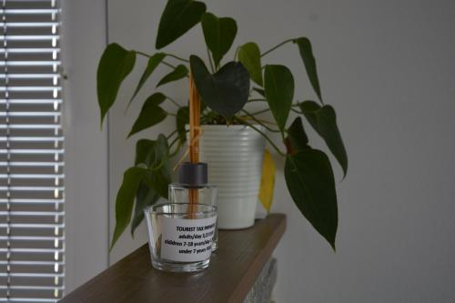 Zemva Stays - JT Apartma