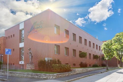 Hostel Mayer Superior