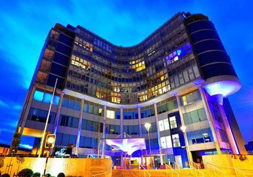 Rafayel on the Left Bank