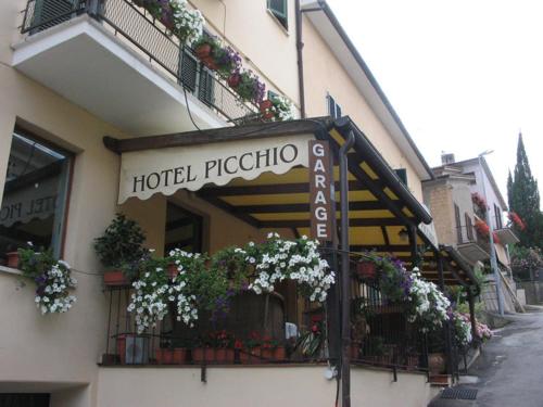 Picchio